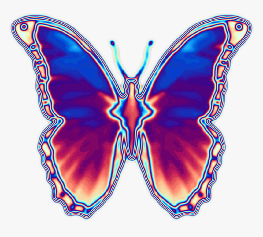 #holo #holographic #iridescent #empress Iridescence - Brush-footed Butterfly, HD Png Download