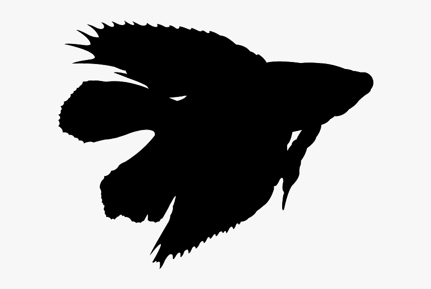 Hairstyle Png For Picsart, Transparent Png