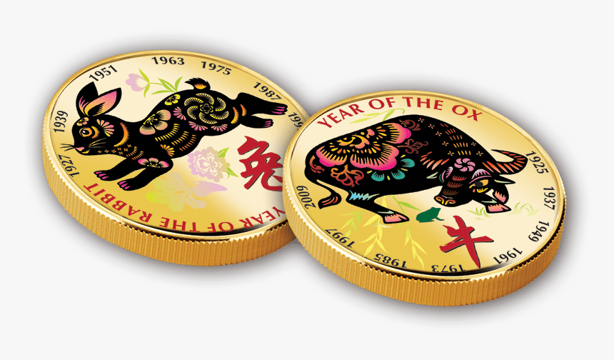 Okapi, HD Png Download