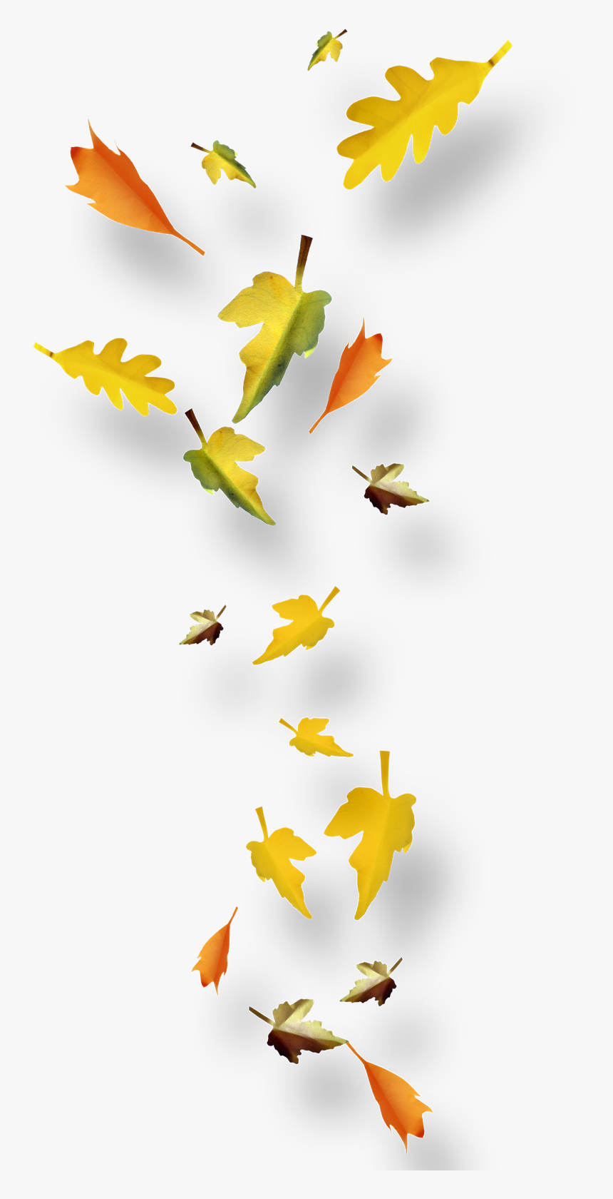 Png, Otoño, Imagen, Fondo, Transparente, Powerpoint, - Feuilles D Automnes Png, Png Download