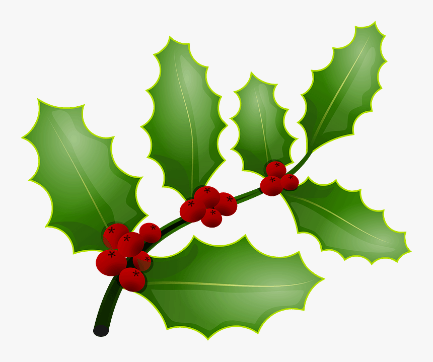 Mistletoe And Holly The Same Thing, HD Png Download