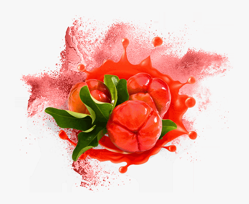 Odoo • Text And Image - Hybrid Tea Rose, HD Png Download