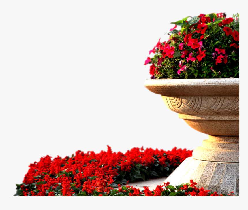 #ftestickers #landscape #landscaping #garden #roses - Red Flower Bed Png, Transparent Png