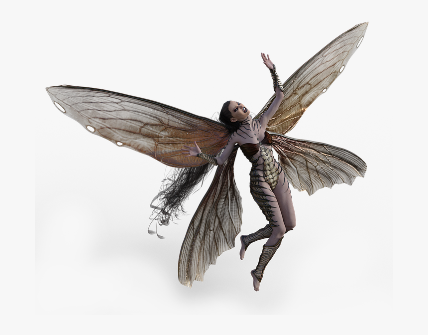 Transparent Fairy Wings Png - Fantasy Fairy Wings, Png Download
