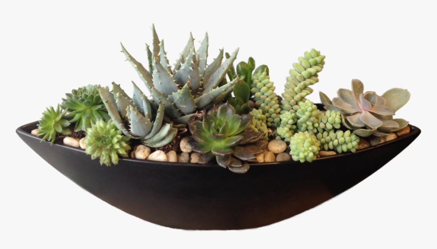 Flowerpot, HD Png Download