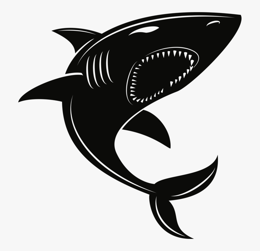 Lamnidae,shark,fish - Great White Shark, HD Png Download