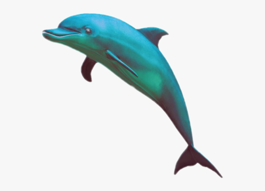 #pixel #pixelart #overlay #tumblr #aesthetic #vapor - Aesthetic Dolphin Png, Transparent Png