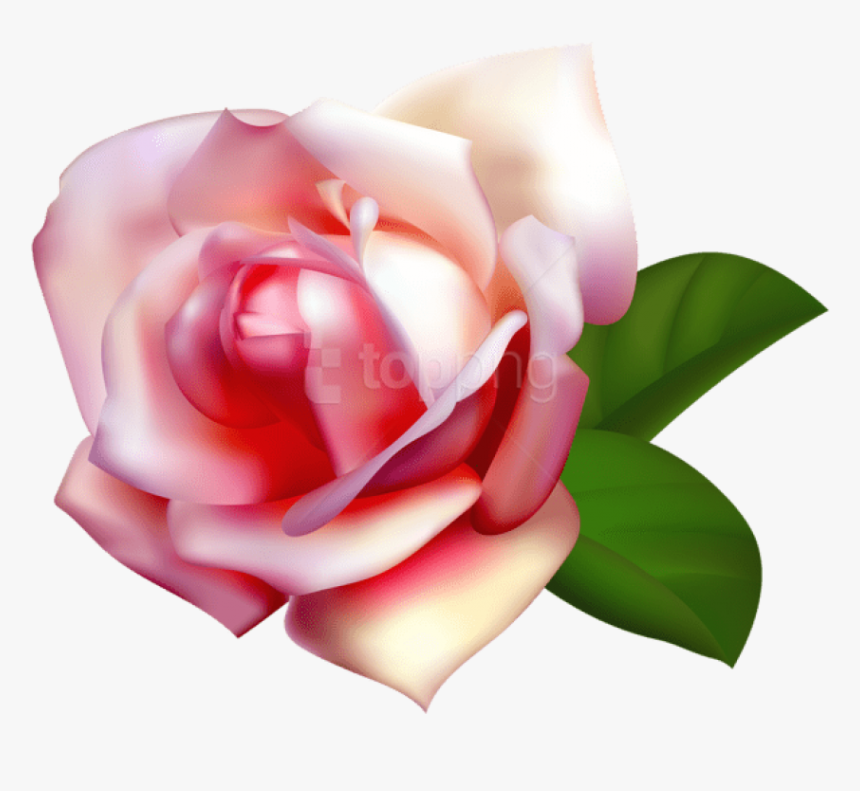 Free Png Download Beautiful Rose Png Images Background - White Rose Transparent, Png Download