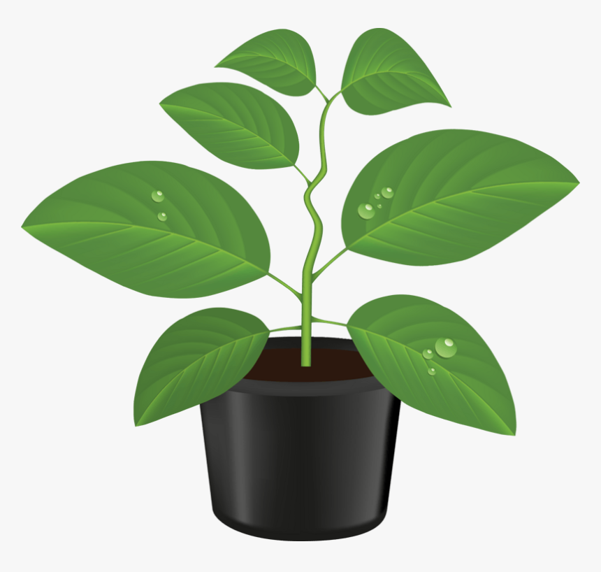 手绘卡通盆栽免抠素材 - Illustration, HD Png Download