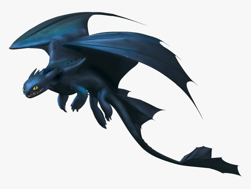 How To Train Your Dragon Wiki - Train Your Dragon Night Fury, HD Png Download