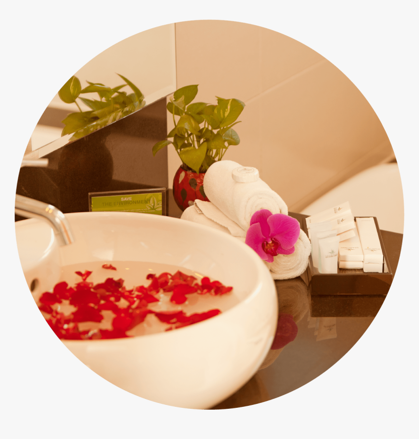 Rose, HD Png Download