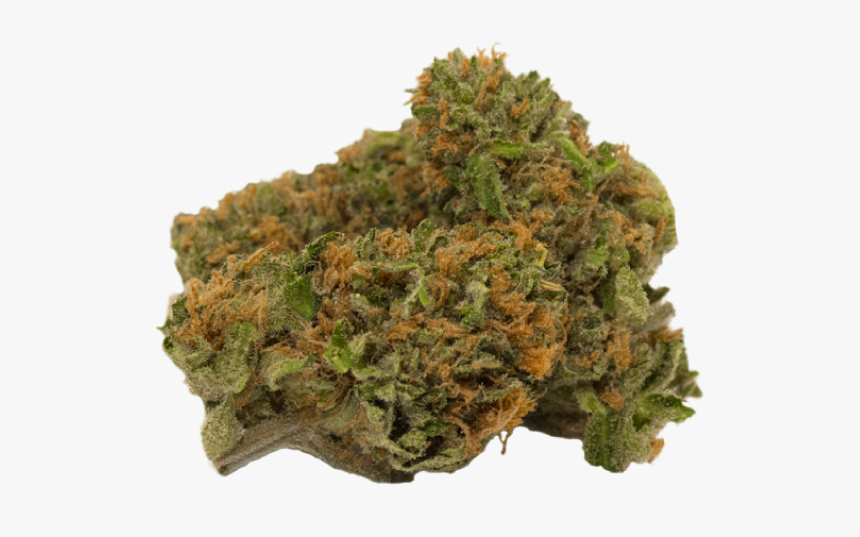 Beleave San Fernando Valley, HD Png Download