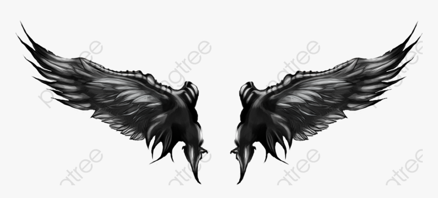 Transparent Angel Wings Png Transparent - Illustration, Png Download