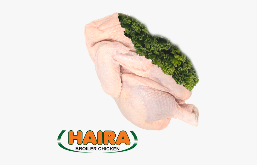 Products - Boneless Skinless Chicken Thighs, HD Png Download