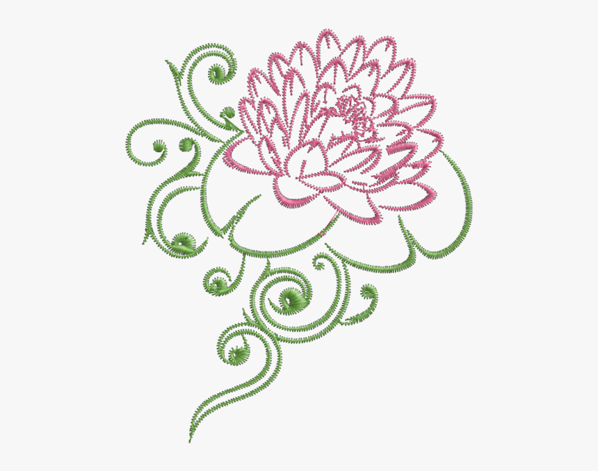 Nymphaea Nelumbo, HD Png Download
