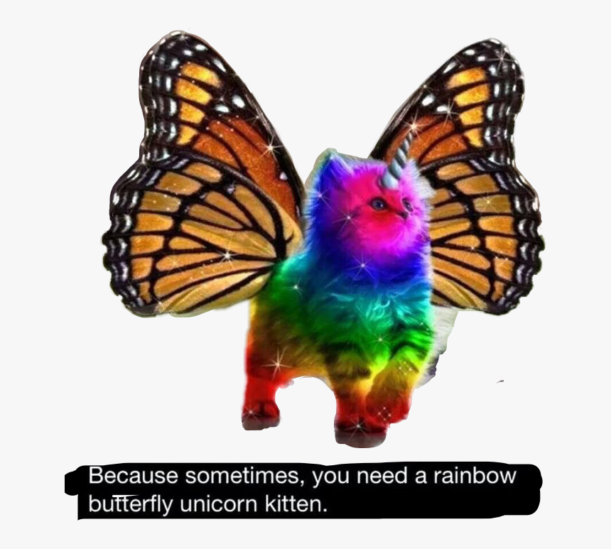 #magical Gargoyles - Unicorn Cat With Wings, HD Png Download