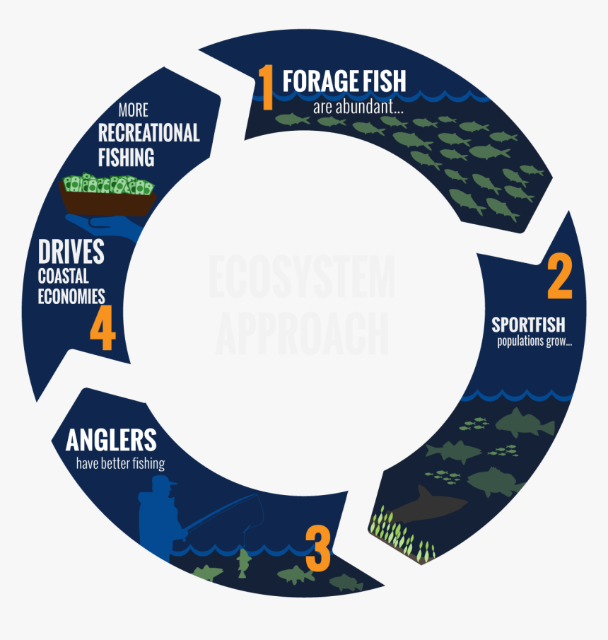 Label, HD Png Download