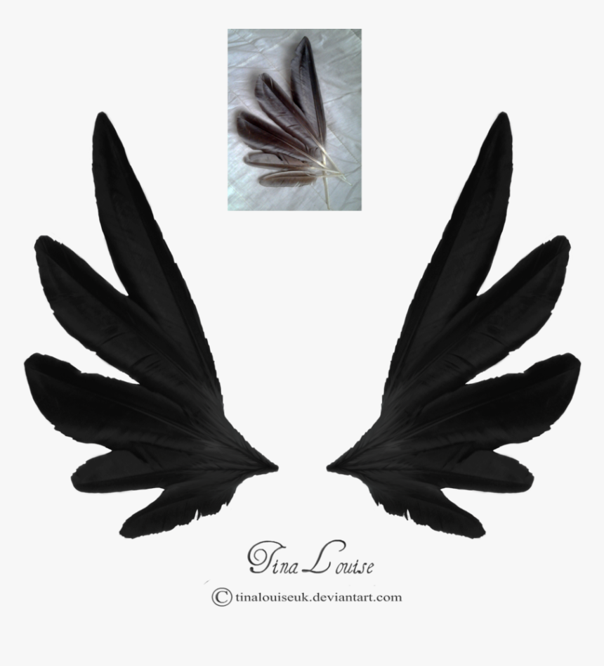 Insect, HD Png Download