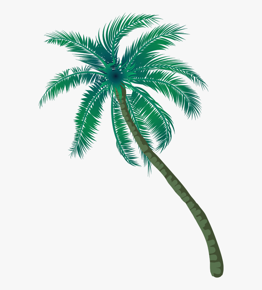 #coqueiro #arvore #planta #verde #madeira #coco #praia - Coconut Tree Png Inages, Transparent Png