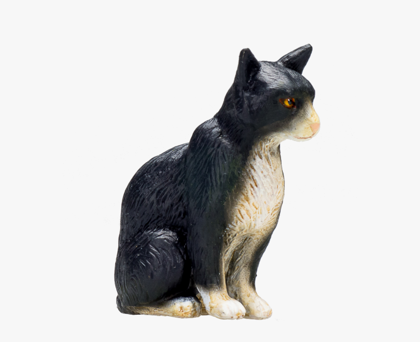 Domestic Short-haired Cat, HD Png Download