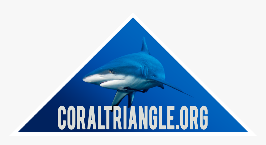 Great White Shark, HD Png Download