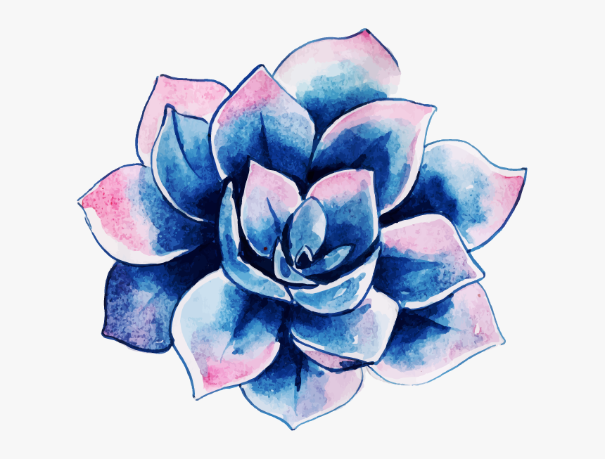 Echeveria, HD Png Download