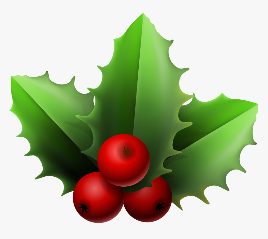 Christmas Mistletoe Png Clipart Image - Mistletoe Clipart, Transparent Png