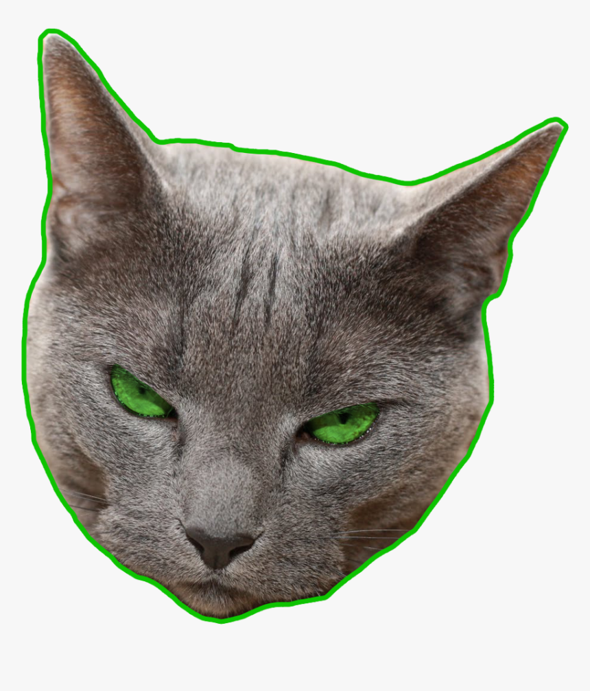 #ftestickers #greeneyes #green #angry - Domestic Short-haired Cat, HD Png Download
