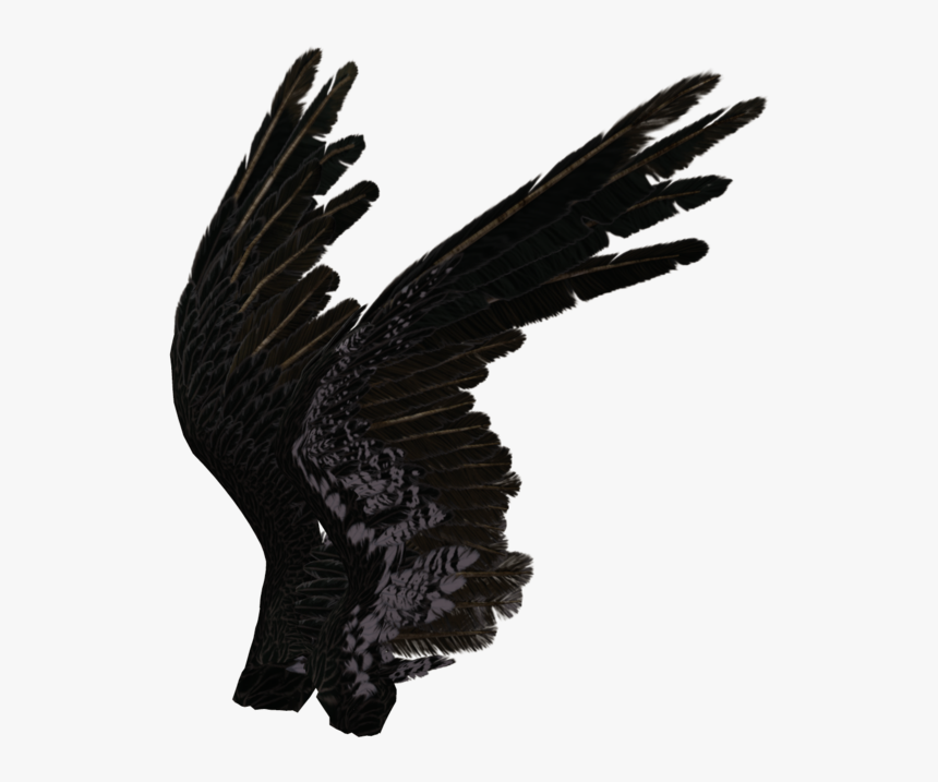 Angel Wings Black Side, HD Png Download