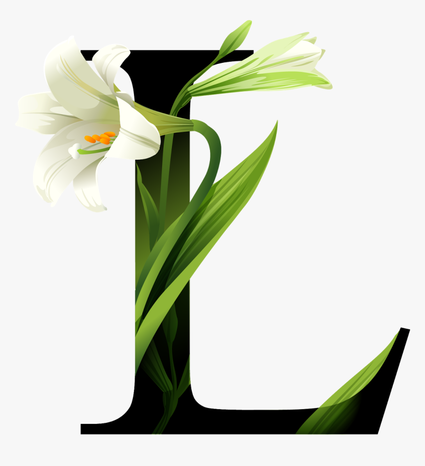 Typography, HD Png Download