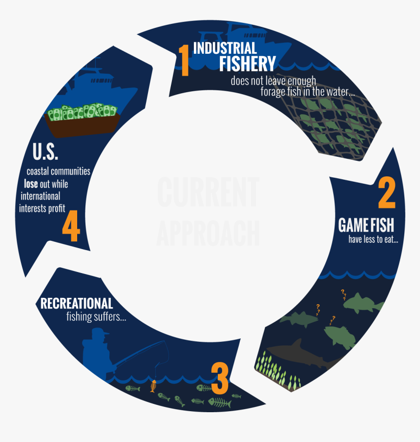 Label, HD Png Download