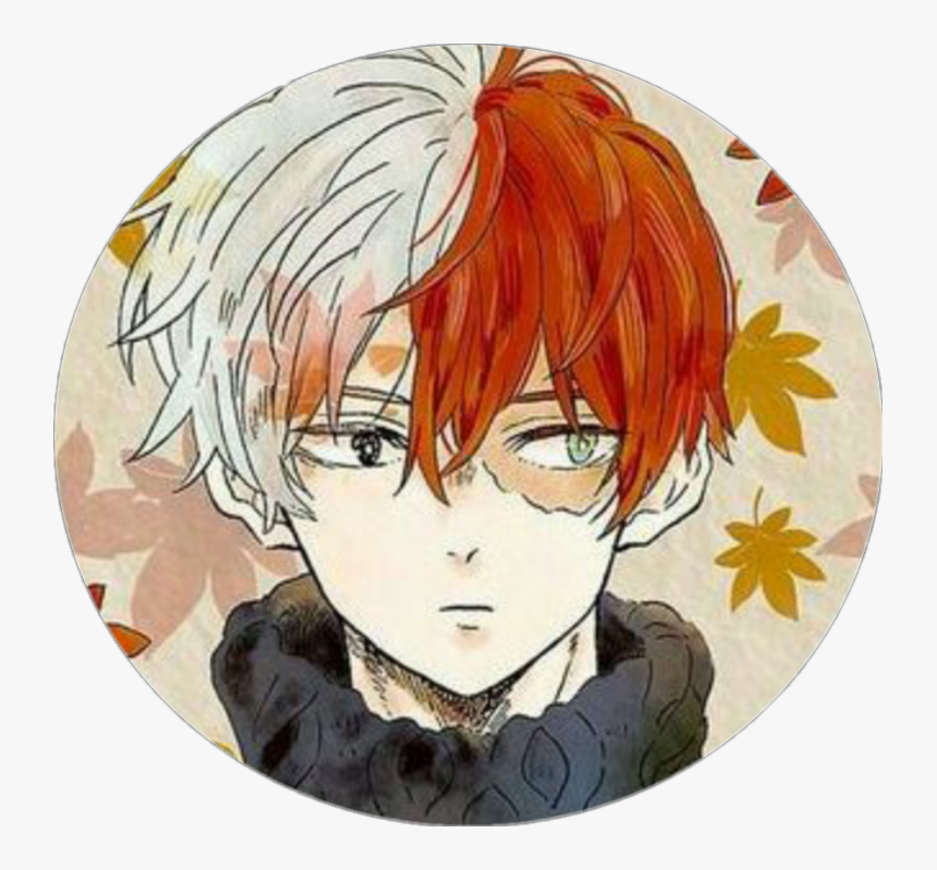 #todoroki #shouto #todorokishouto #bnha #myheroacademia - Todoroki Shouto Autumn, HD Png Download