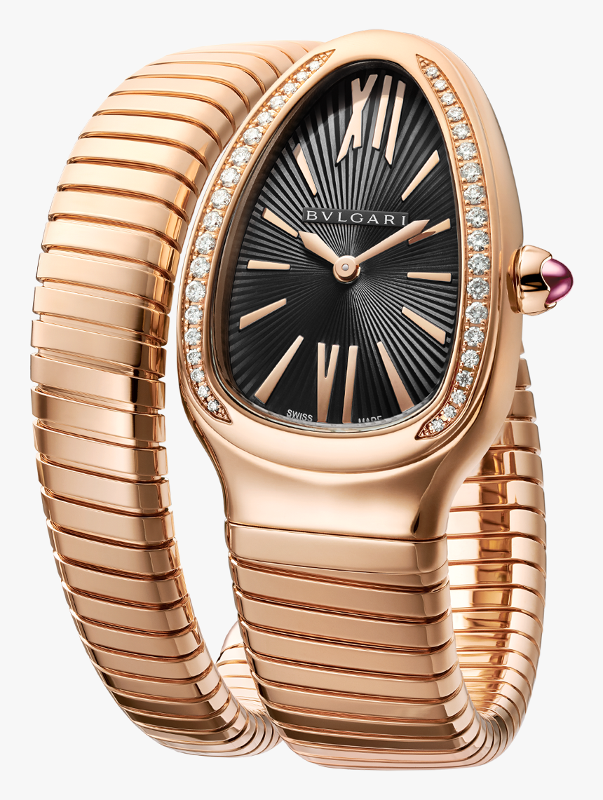 Bvlgari Serpenti Steel And Gold, HD Png Download
