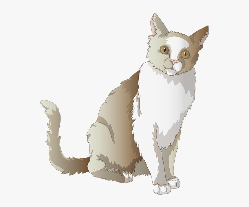 Kot Przezroczysty, HD Png Download