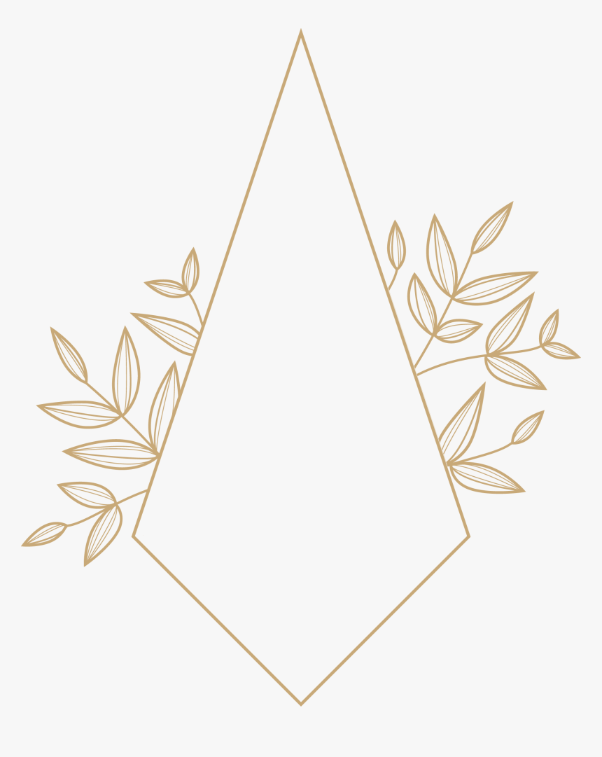 Bloomfield Beauty Co - Motif, HD Png Download