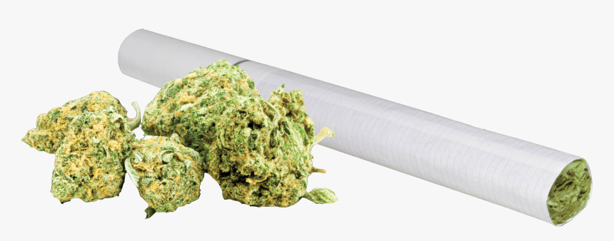 Moss, HD Png Download