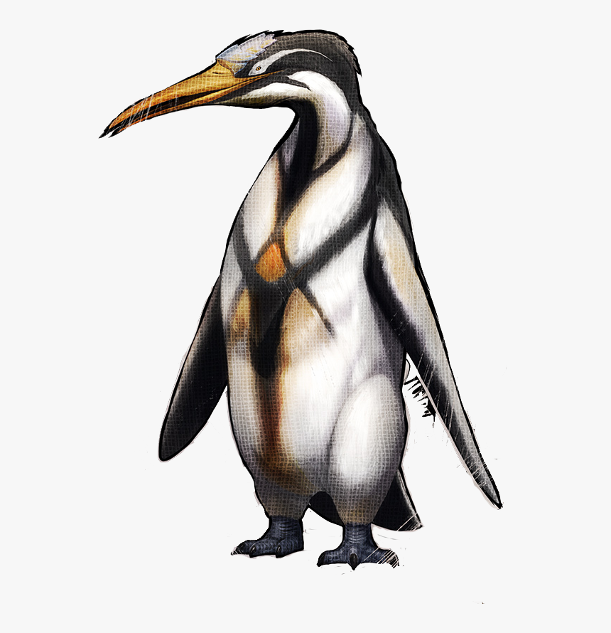 Pinguin Ark, HD Png Download