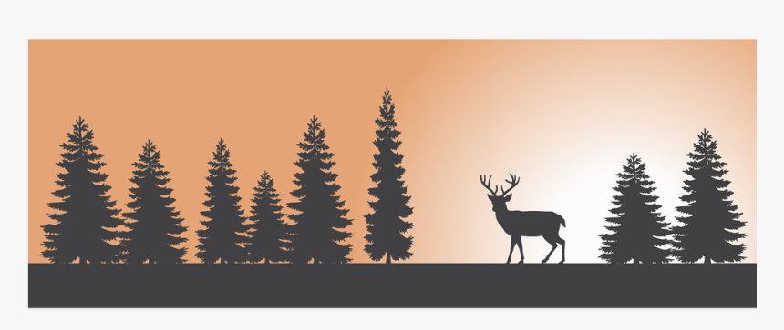 Transparent Santa And Reindeer Silhouette Png - Pine Trees Silhouette Transparent, Png Download