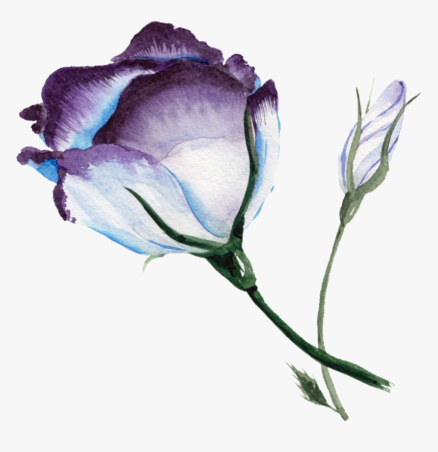Purplish Blue Flower Watercolor Transparent Flower - Png Background Flower Watercolor Blue, Png Download