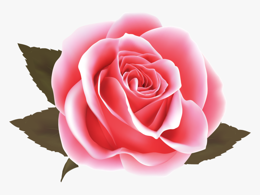 Transparent Background Blue Rose Clipart, HD Png Download