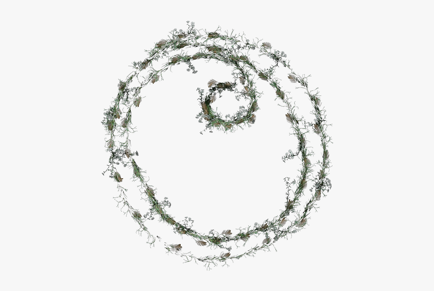 Circle, HD Png Download