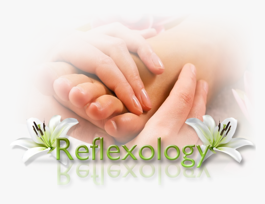 Massage Therapy, HD Png Download