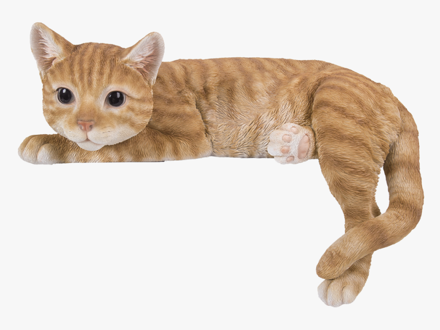Cat Lying On Shelf, HD Png Download