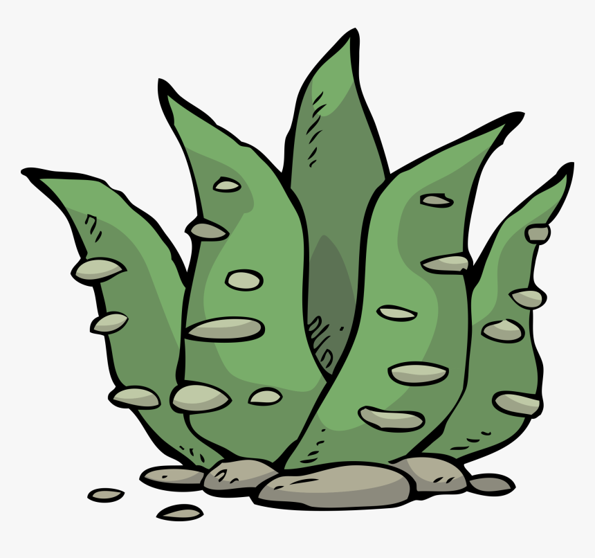 Clip Art, HD Png Download