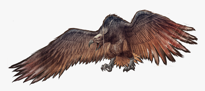 #geier - Argentavis Ark Png, Transparent Png