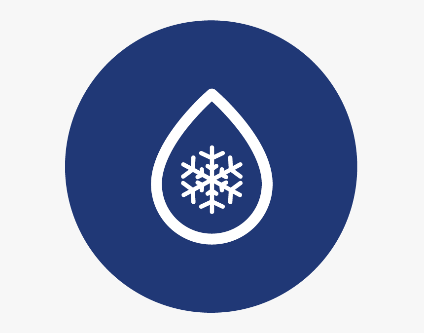 Frozen Human Plasma - Royal Bangkok Symphony Orchestra, HD Png Download