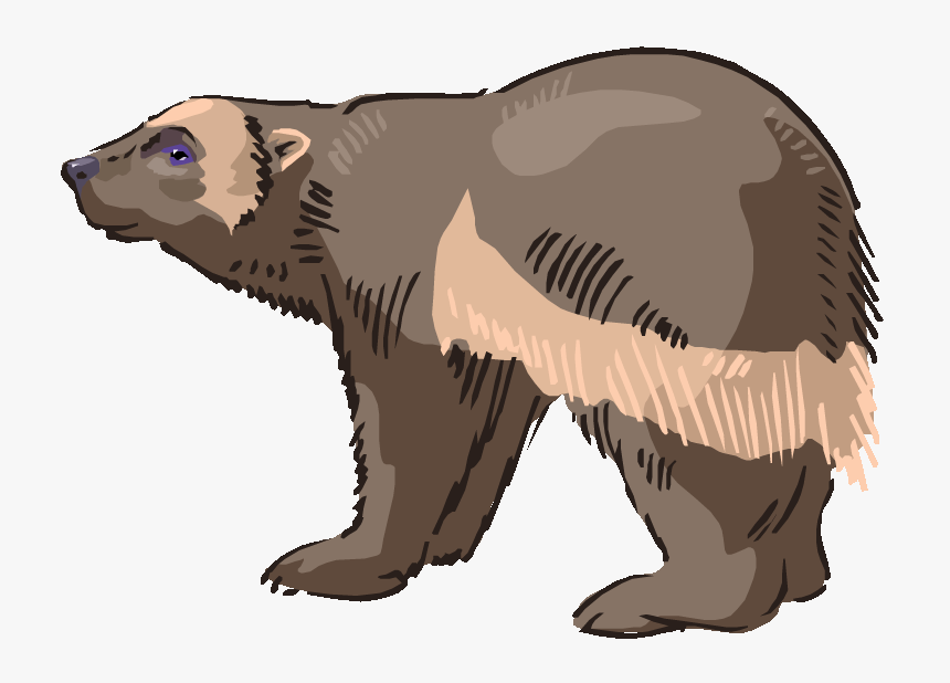Sloth Bear Clipart Clipartfest - Sloth Bear Clipart, HD Png Download