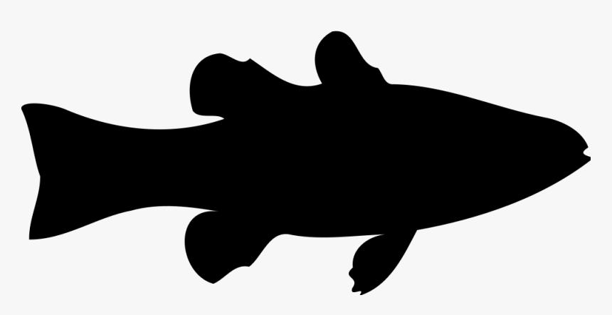 Cardinalfish - Fish Silhouette Clipart, HD Png Download