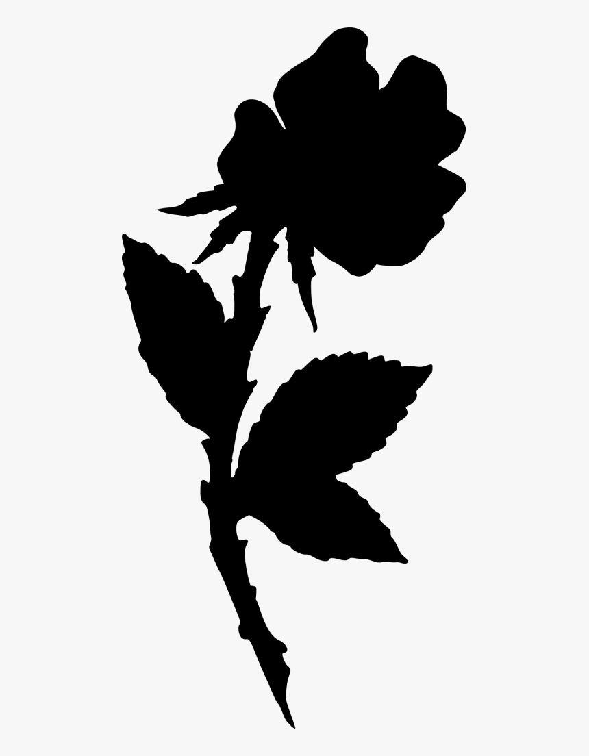 Rose-silhouette - Illustration, HD Png Download