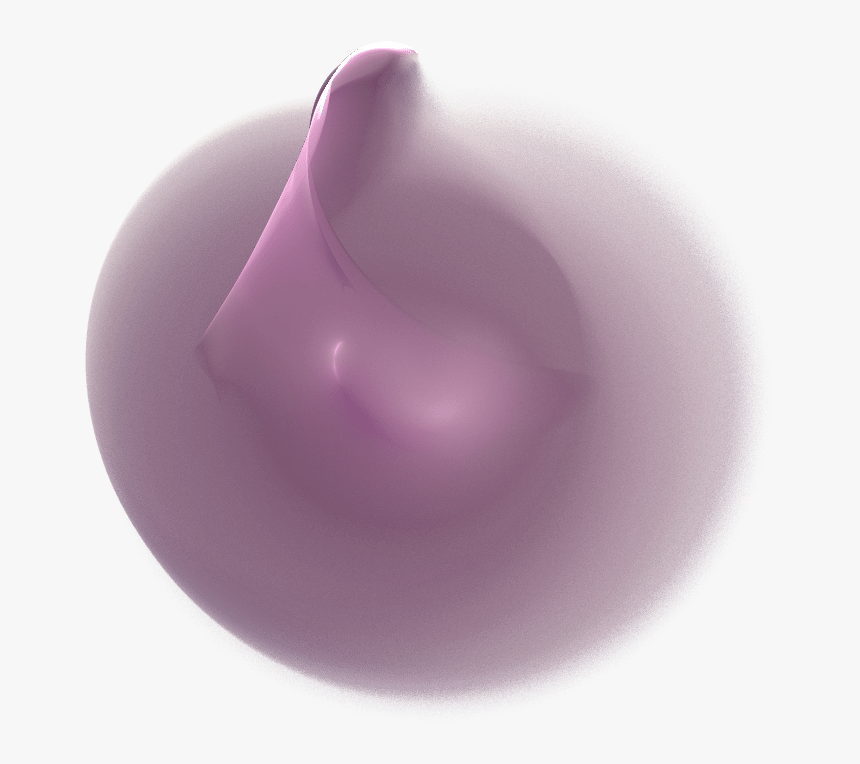 Still Life Photography, HD Png Download